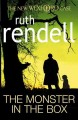 The monster in the box Cover Image